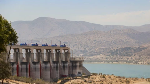 peces muertos en Tijuana.png