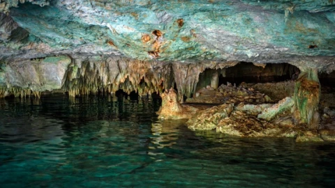 Día Mundial del Agua 2022 aguas subterráneas