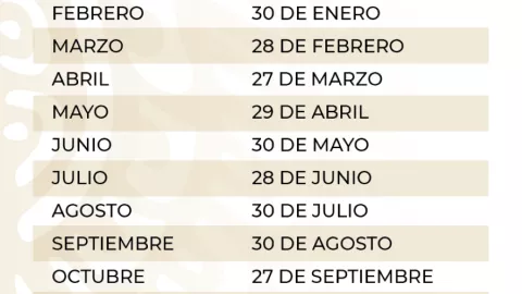 aguinaldo Buen Fin 2024