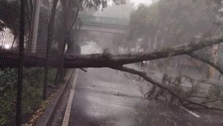 Metro CDMX, caos en la Ciudad