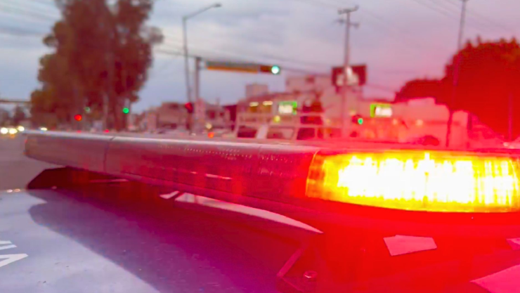 Tránsito atropellado en Celaya