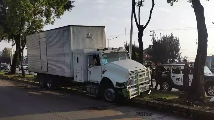 TORTON CONTRA ÁRBOL.jpeg