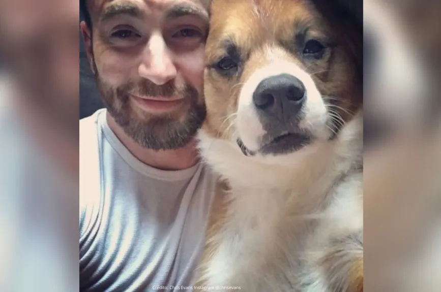 Famosos con un Hachiko en su vida (23).jpg