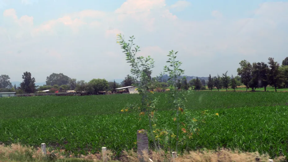 Campo_UNAM-DGCS.jpg