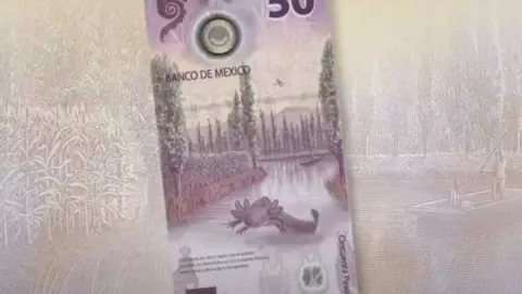 ¡Vaya oferta! Dan hasta 7 millones por este billete de 50 pesos mexicanos