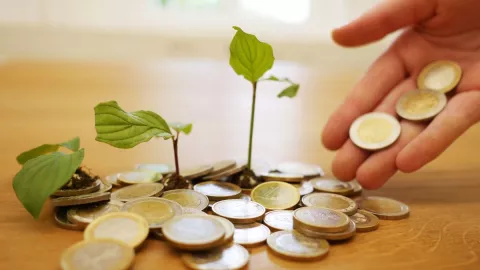 El ritual para enterrar monedas en macetas y atraer abundancia