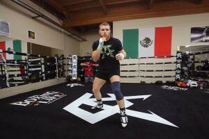 Sombra de Canelo