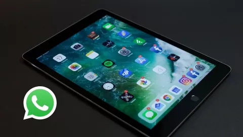 WhatsApp, iPad, tablet 1.jpg