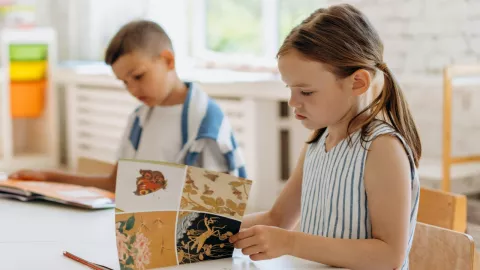 ‘Tareas ocasionales’, controversial medida propuesta en el Congreso de Guerrero