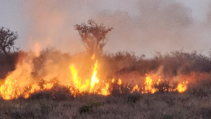 Bomberos sofocan incendio de pastizal en San Miguel de Allende 10 de abril 2025.png