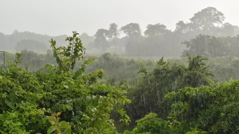 Clima en Guerrero, se esperan lluvias intensas