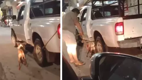 _Por error_ hombre arrastra a perra por varias calles en Chetumal (VIDEO).jpg