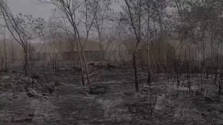 VIDEO_ Bomberos logran sofocar fuerte incendio sobre la carretera Mérida Progreso