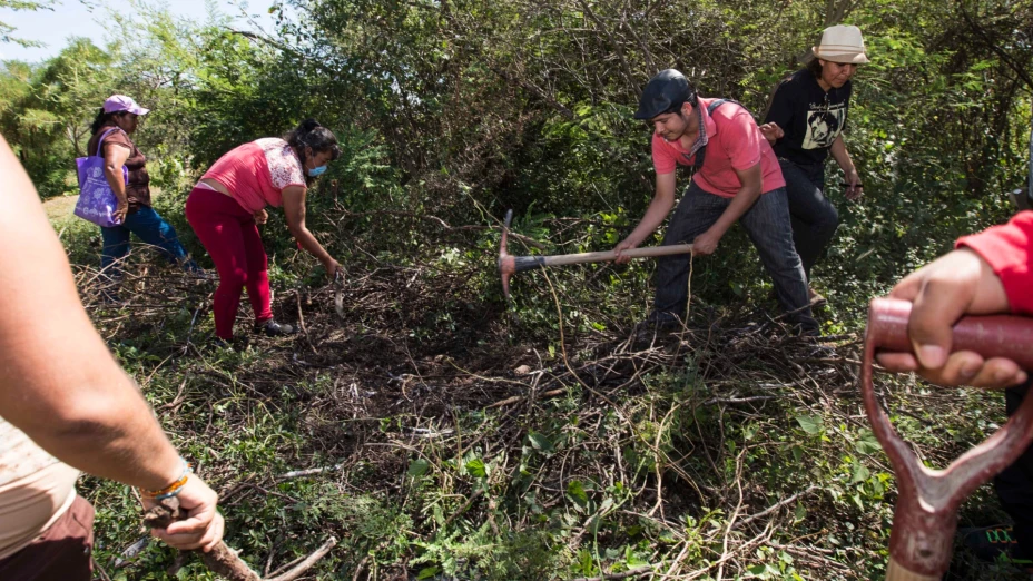 Familiares de desaparecidos buscan tumbas clandestinas en México.