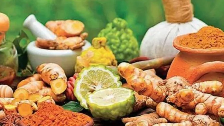 Medicina ancestral Ayurveda que equilibra cuerpo y mente