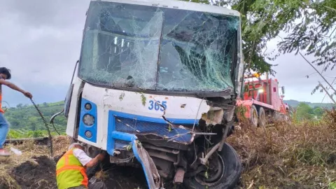 Camión se estrella en Veracruz tras pasar por un bache; hay 20 pasajeros heridos