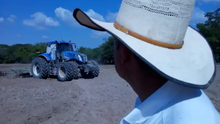 campo