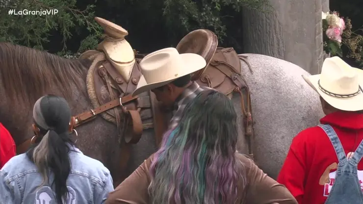 Granjeros caballo