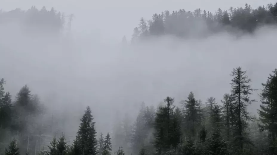 Alerta CONAGUA por bancos de niebla en Puebla hoy domingo: Zonas y carreteras con baja visibilidad