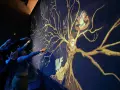 El Autobús Noctámbulo nos llevó hasta Grimmauld Place, el hogar de los Black, donde puedes explorar su árbol genealógico.