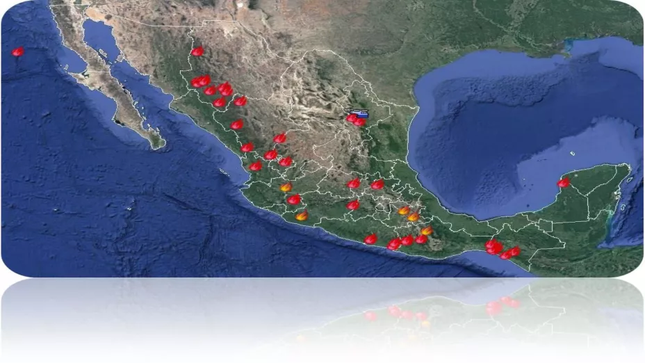 Incendios forestales 090421_Conafor.jpeg