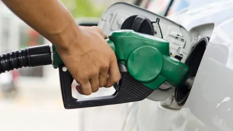 gasolina