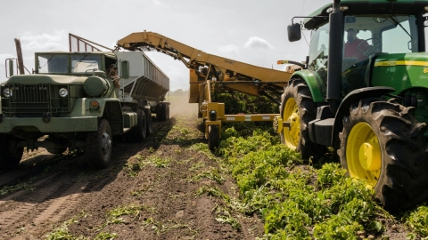 que - es - produccion - agroalimentaria - que - estados - mexico