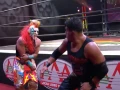 Lucha Fighter