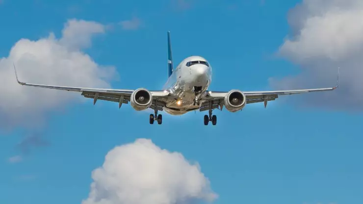 VIDEO_ Pasajero muerde a azafata en pleno vuelo y el avión aterriza de emergencia