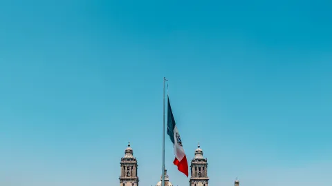 Encuentra disfraces para tus mascotas en el centro de la CDMX