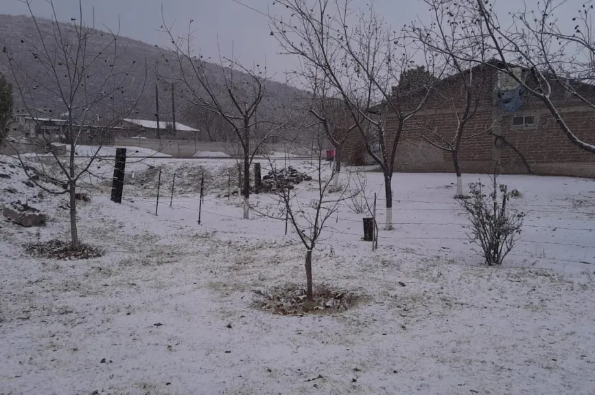La nieve comienza a cubrir, carreteras, patios y jardines en Chihuahua.