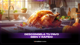 DESCONGELA TU PAVO BIUEN Y RAPIDO