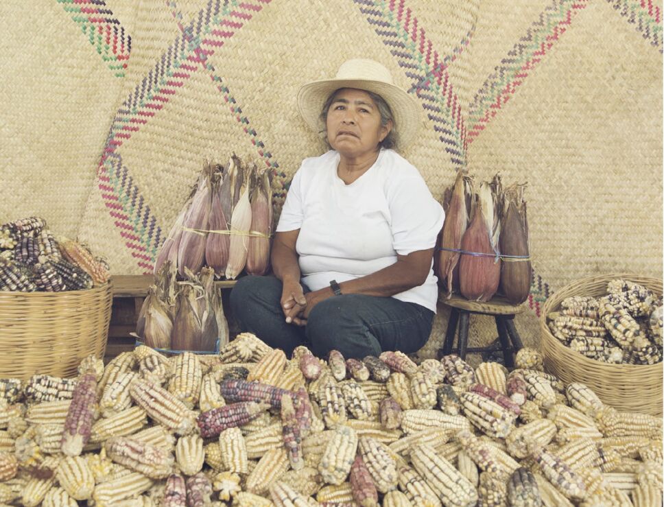 maiz arte oaxaca