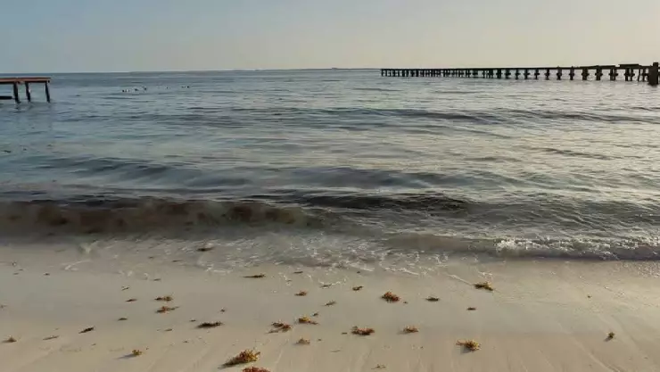 Clima en Cancún: La Onda Tropical 10 dejará las lluvias en Quintana Roo HOY, lunes 7 de julio