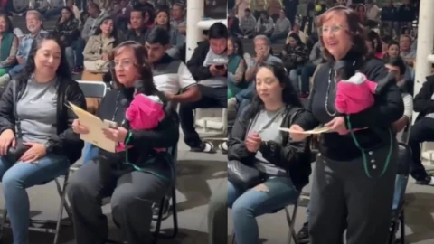 Regidora mono araña Ocotlán