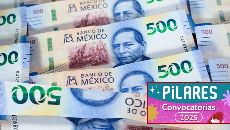 ¿Cómo registrarte al programa que te dará más de 15 mil pesos mensuales?.png