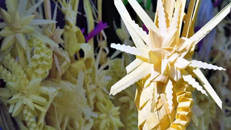 Elaboran tejidos artesanales para Domingo de Ramos