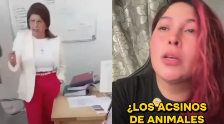 video-desata-indignacion-senalan-a-la-senadora-mariela-gutierrez-por-sacrificar-miles-perros-tecamac