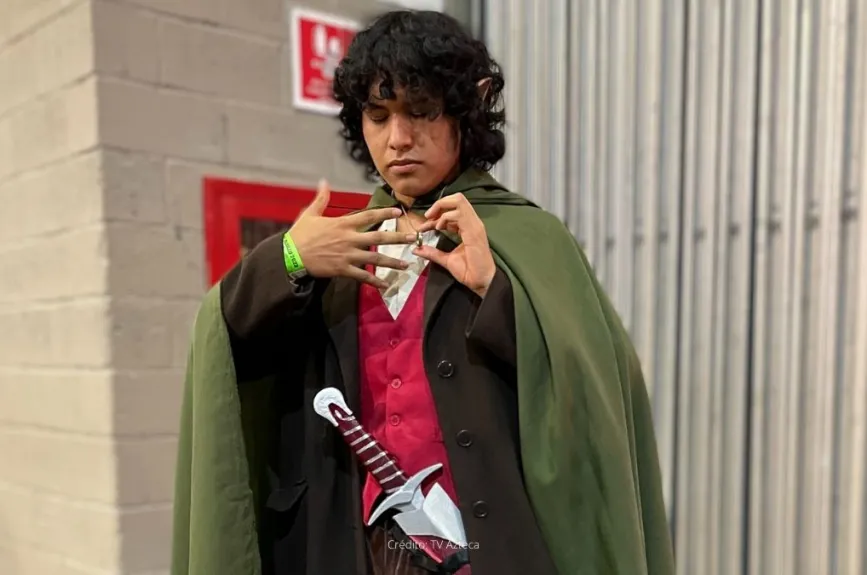 Disfraz Frodo, el Señor de los Anillos