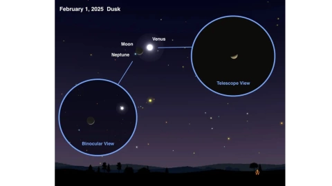 Alineación de los planetas febrero 2025_ Cuándo será y cómo verla desde Quintana Roo.jpg