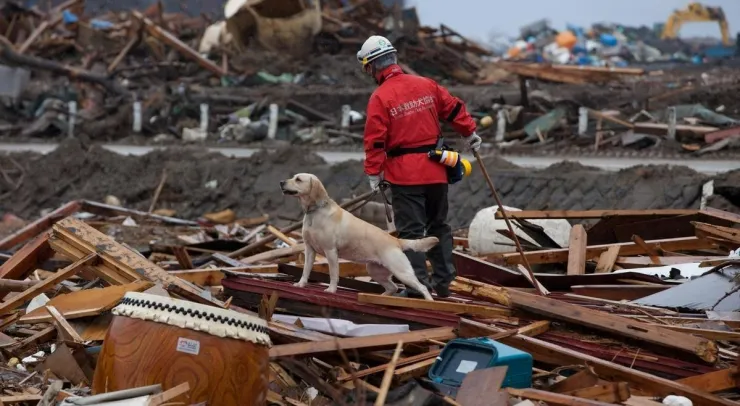 Los terremotos más fuertes de la historia