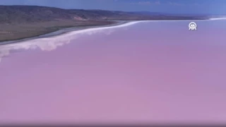 ¿Por qué el lago Salado de Turquía se tiñe de rosa? El fenómeno que asombra al mundo