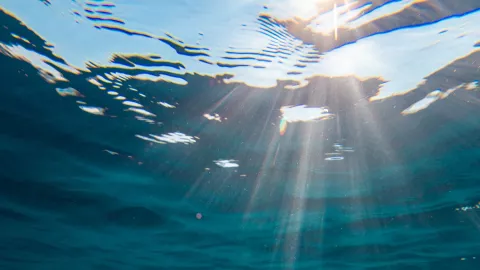 Turista desaparece en Cabo San Lucas.jpg