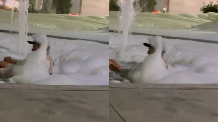 Hombre se baña en La Lomita de Culiacán, Sinaloa. .jpg