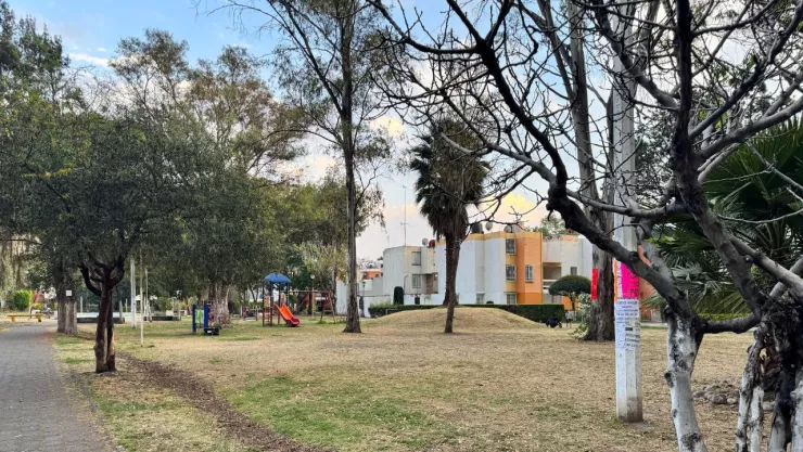 Cancelan la contingencia ambiental