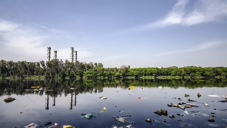 Estaciones del clima ya no son las mismas: contaminación altera el calendario natural