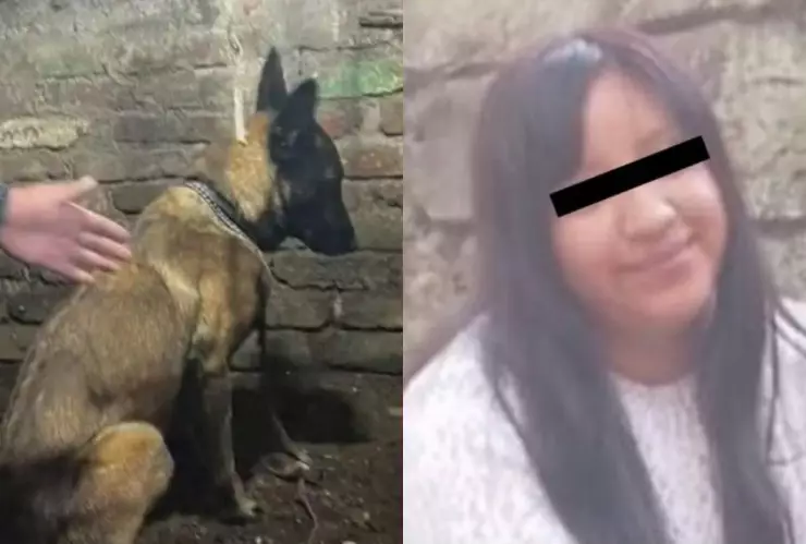 Binomio canino fue clave para hallar el cuerpo de Jazmín García, mujer policía enterrada en su casa de CDMX