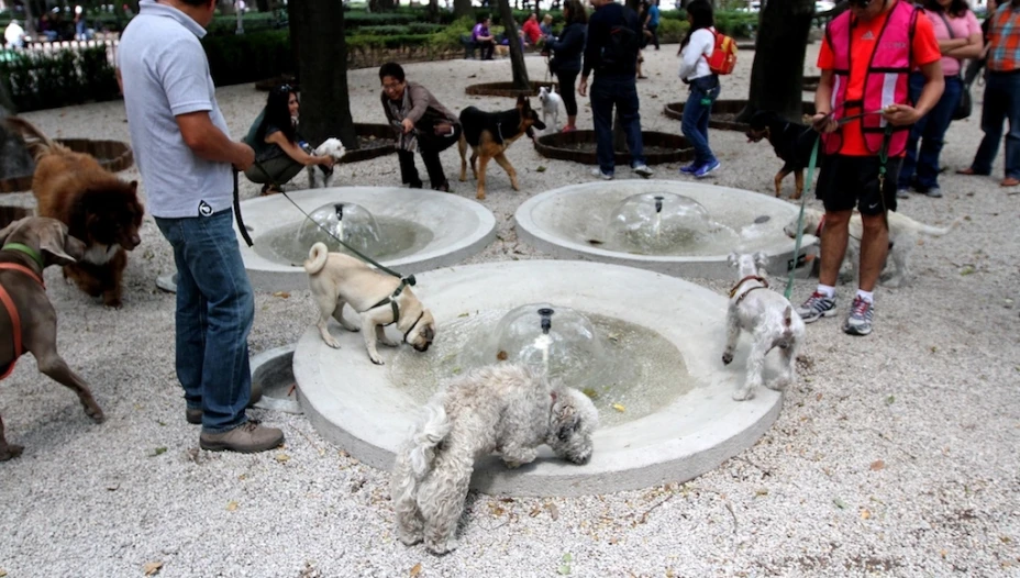 Espacio canino