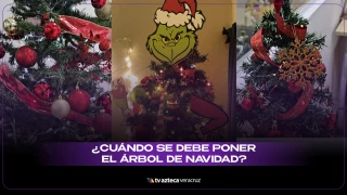 Cuándo poner el árbol de Navidad.