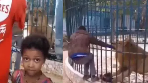 Video_ León ataca a hombre en un zoológico y le muerde la mano.jpg